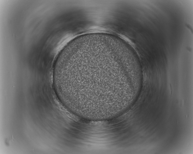 X0000102231415200808221258