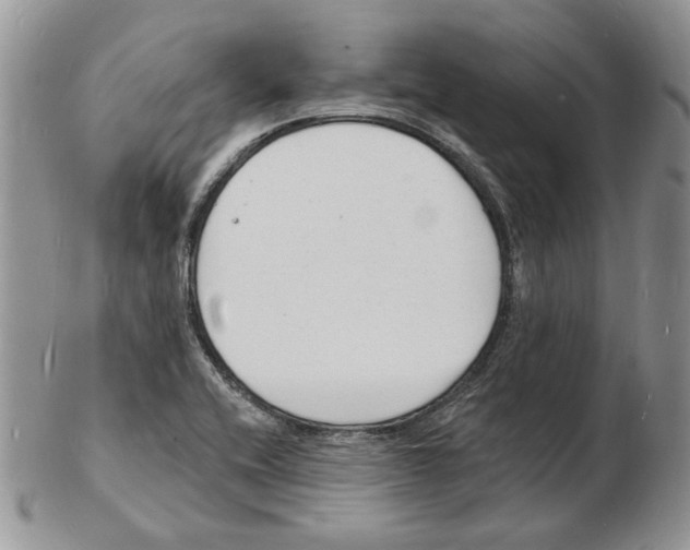 X0000102231416200808221258