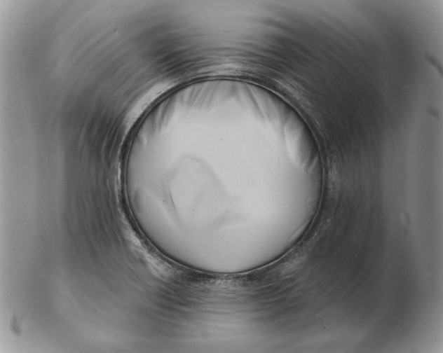 X0000102231418200808221258