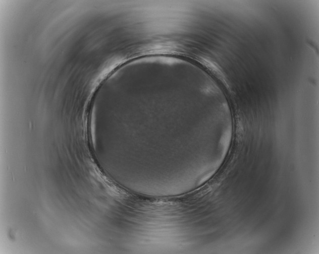 X0000102231419200808221258