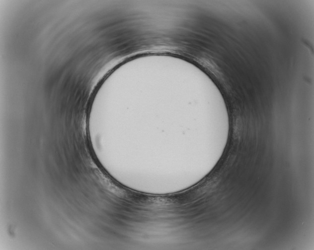 X0000102231420200808221258
