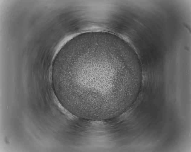 X0000102231421200808221258
