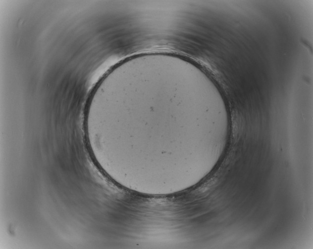 X0000102231422200808221258