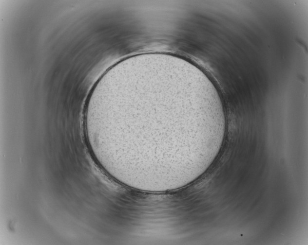 X0000102231423200808221258