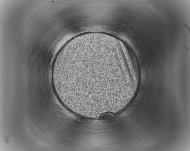 X0000102231424200808221258