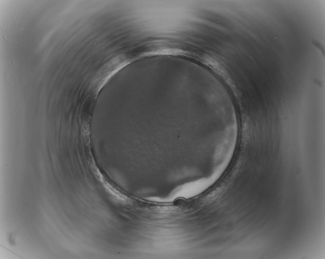X0000102231425200808221258