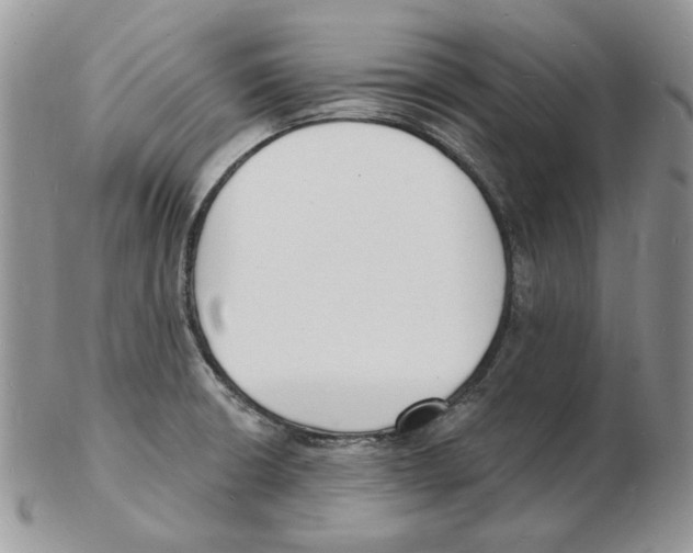 X0000102231426200808221258