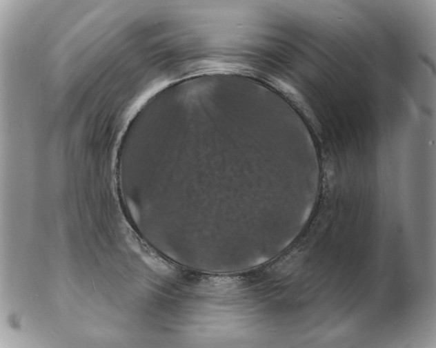 X0000102231427200808221258