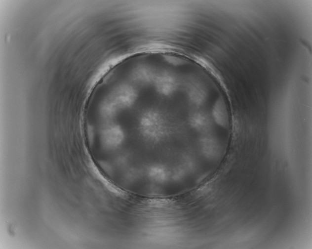 X0000102231429200808221258