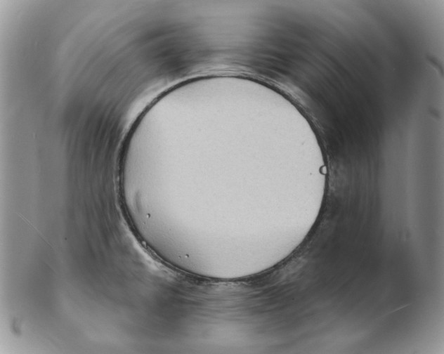 X0000102231430200808221258
