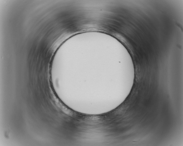 X0000102231431200808221258