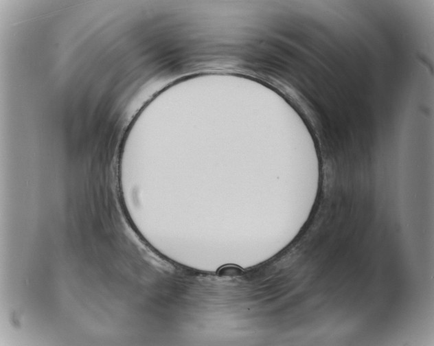 X0000102231432200808221258