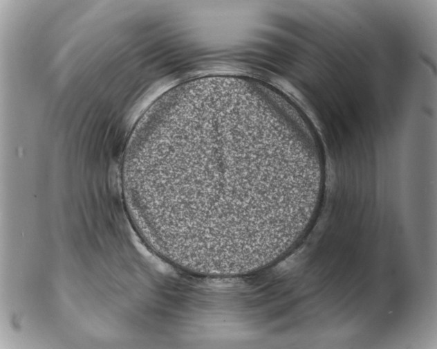 X0000102231433200808221258