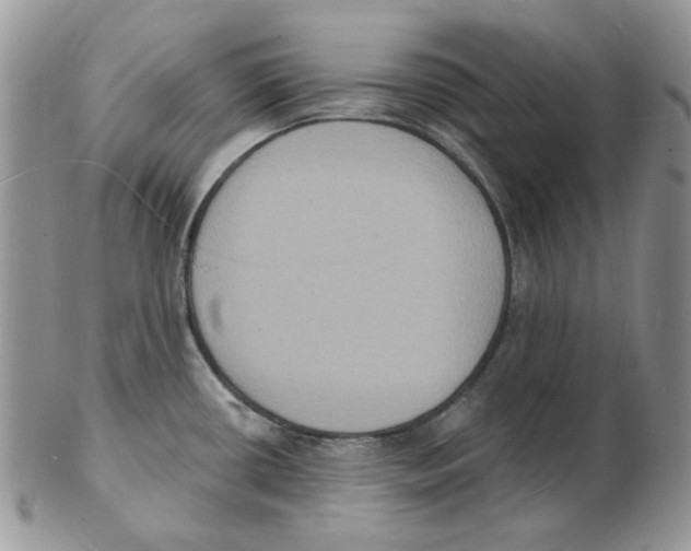 X0000102231434200808221258