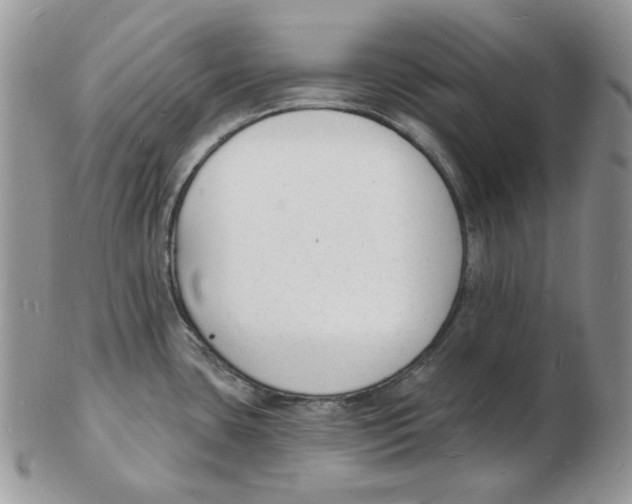 X0000102231435200808221258