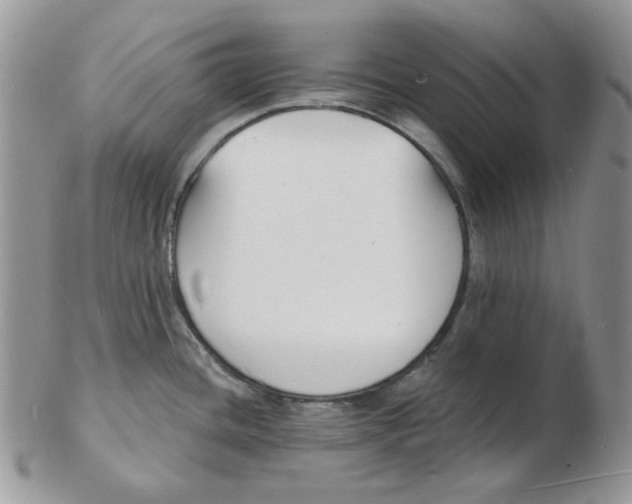 X0000102231436200808221258