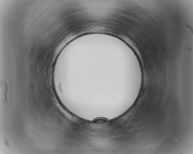 X0000102231437200808221258