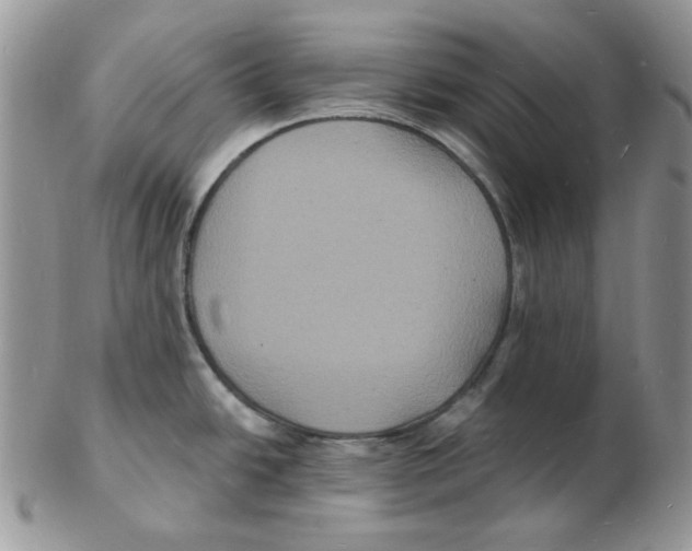 X0000102231438200808221258
