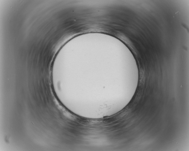 X0000102231439200808221258
