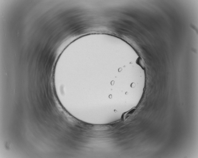 X0000102231440200808221258