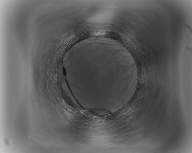 X0000102231441200808221257