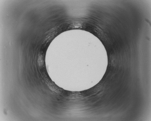 X0000102231442200808221257