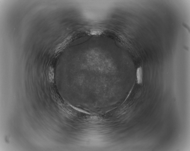 X0000102231443200808221257