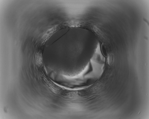 X0000102231444200808221257