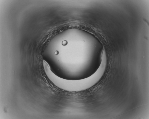 X0000102231445200808221257