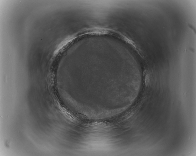 X0000102231448200808221257