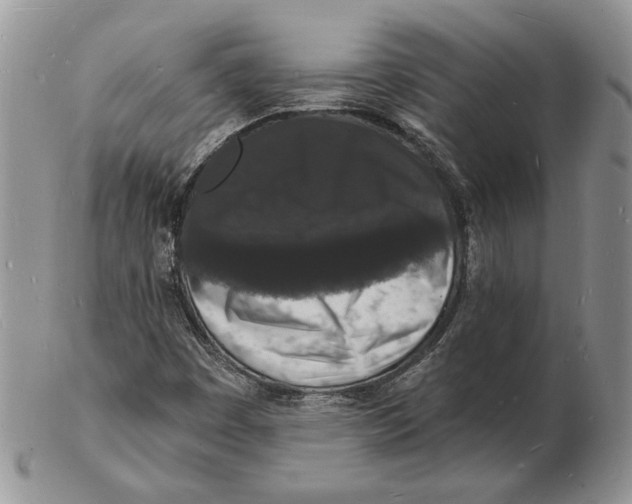 X0000102231449200808221257