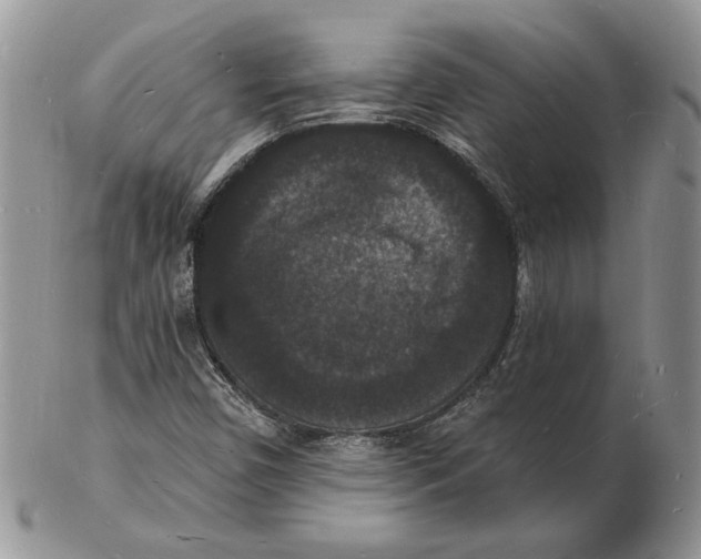 X0000102231450200808221257