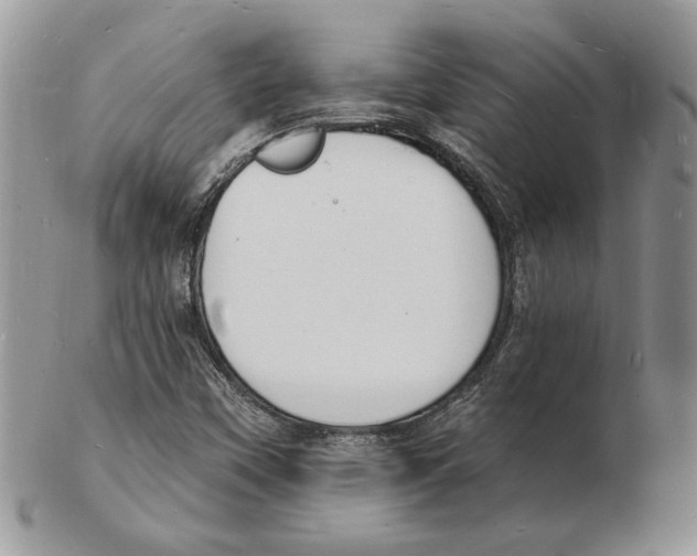 X0000102231451200808221257