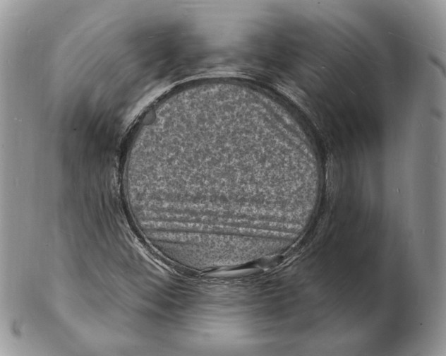 X0000102231452200808221257