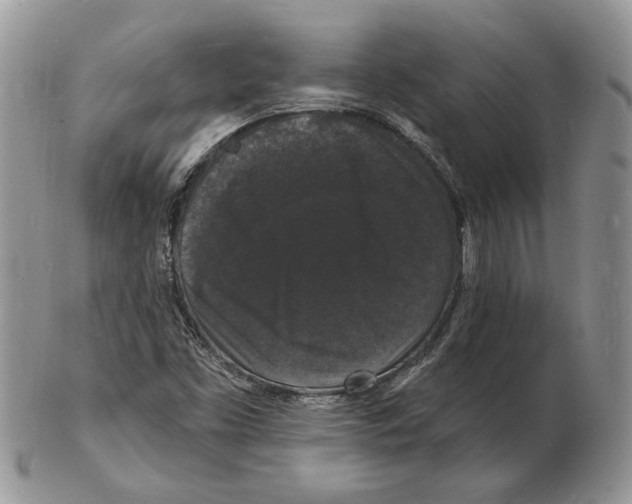 X0000102231453200808221257