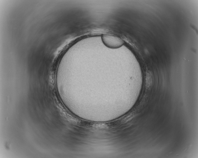 X0000102231454200808221257