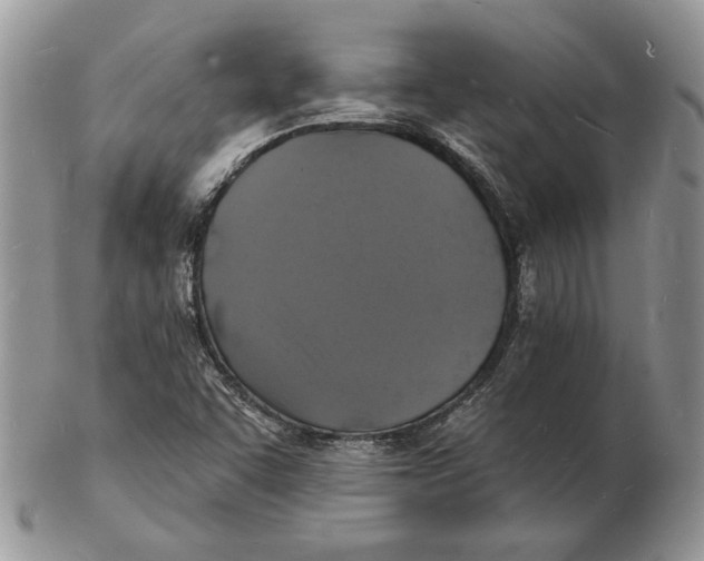 X0000102231455200808221257