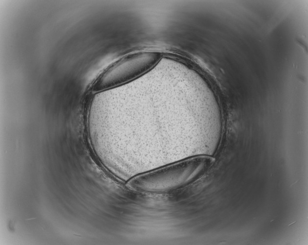 X0000102231456200808221257