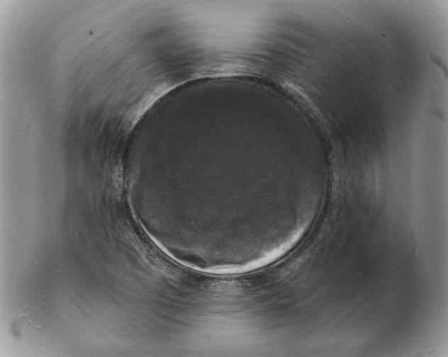 X0000102231457200808221257