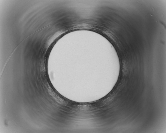 X0000102231458200808221257