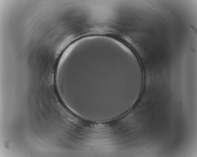 X0000102231459200808221257