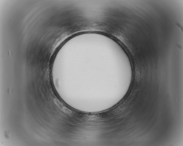 X0000102231460200808221257
