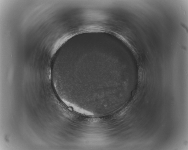 X0000102231461200808221257