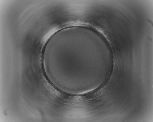 X0000102231463200808221257