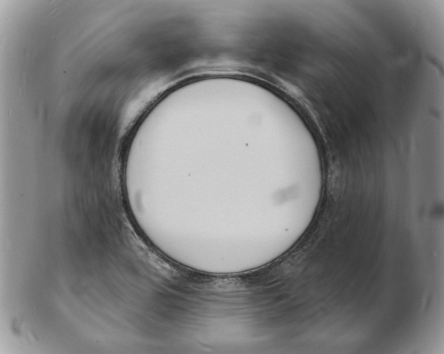 X0000102231464200808221257