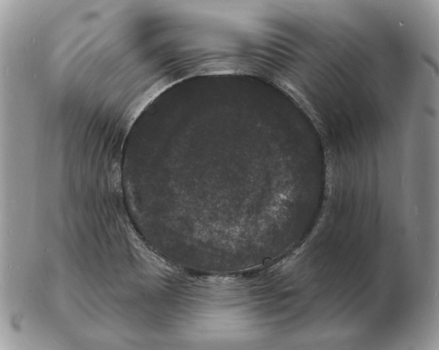 X0000102231465200808221257