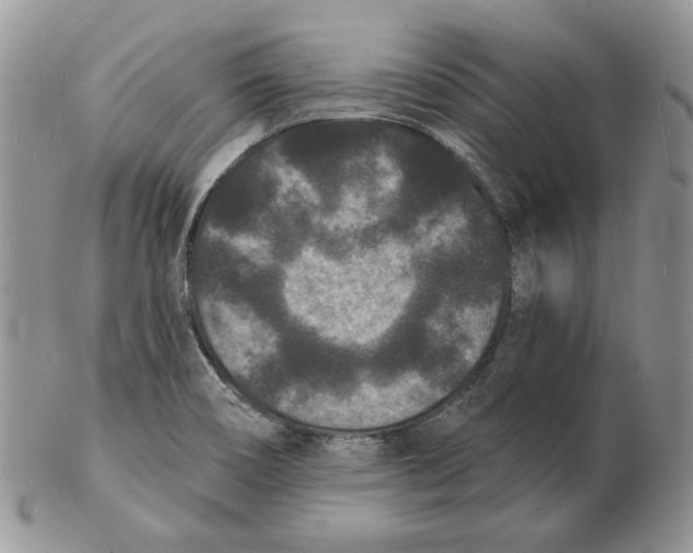 X0000102231466200808221257