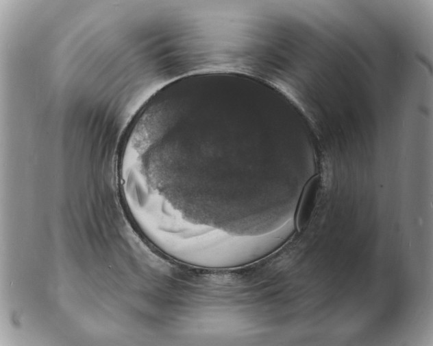X0000102231468200808221257