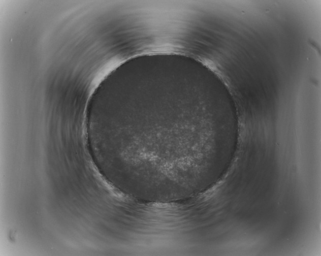 X0000102231469200808221257