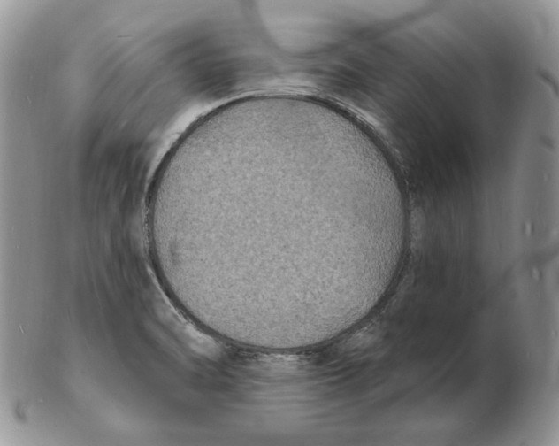 X0000102231470200808221257